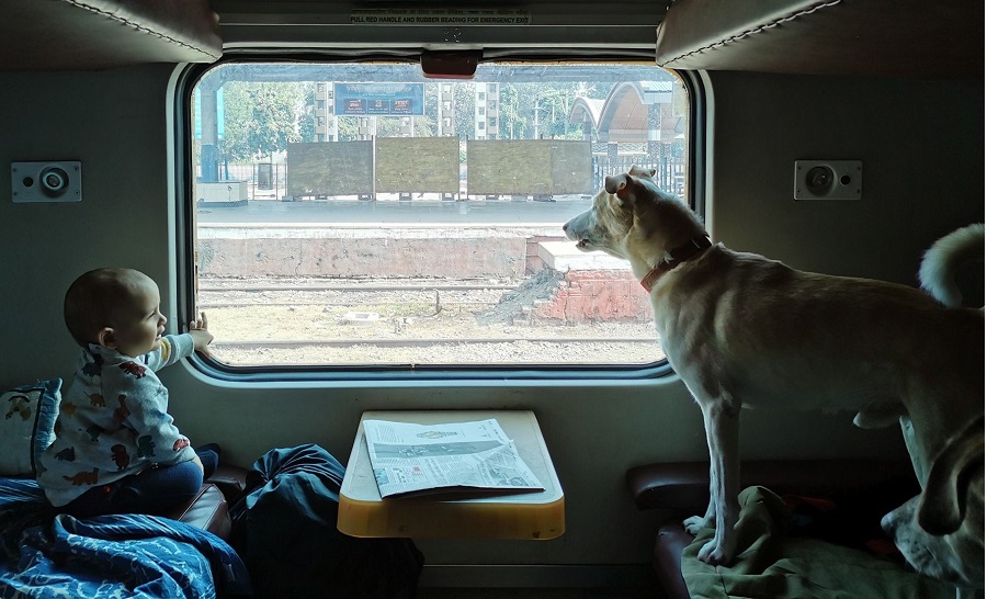 Service Provider of Pets & Parents Train Ticket Service From Delhi To All Over India in New Delhi, Delhi, India.